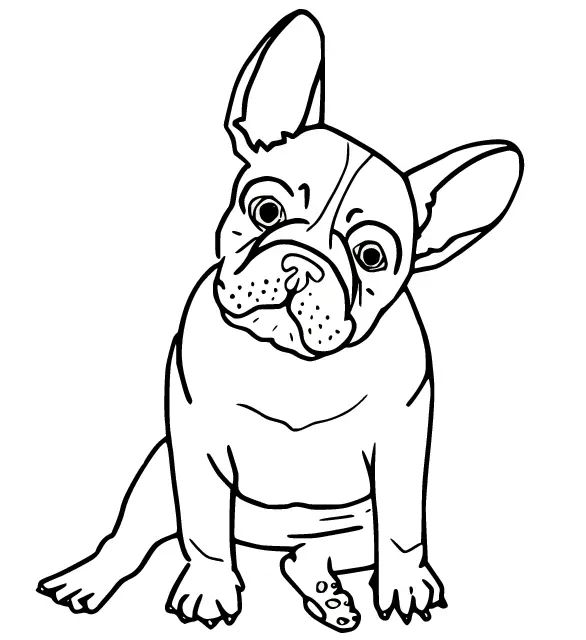 Çocuklar İçin Bulldog Boyama Sayfaları 