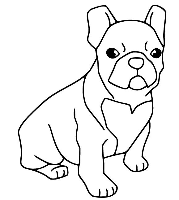 Çocuklar İçin Bulldog Boyama Sayfaları 