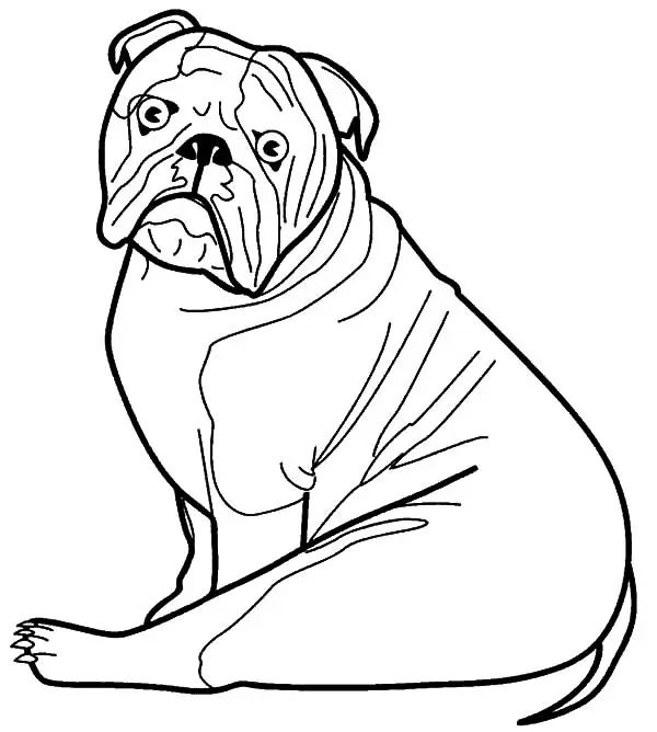 Çocuklar İçin Bulldog Boyama Sayfaları 