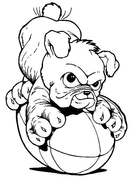 Çocuklar İçin Bulldog Boyama Sayfaları 