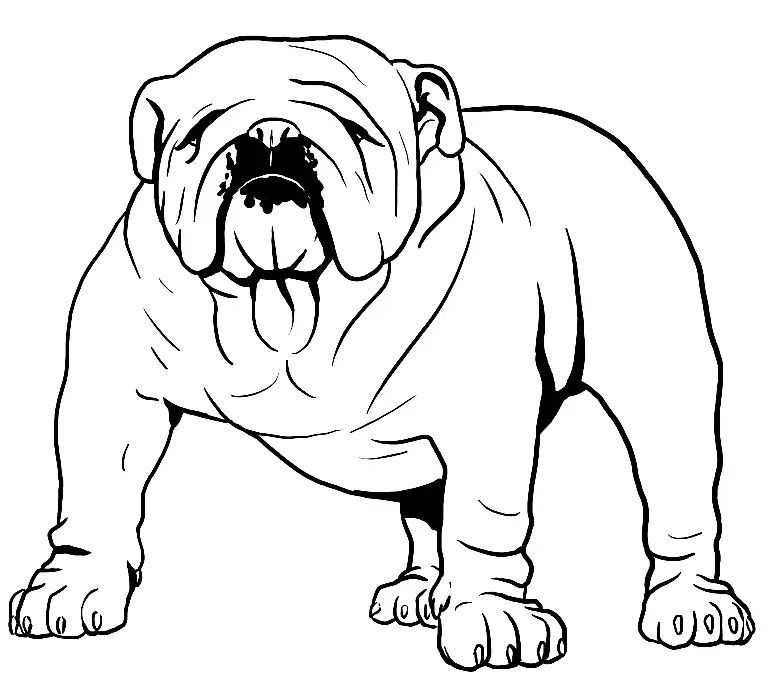 Çocuklar İçin Bulldog Boyama Sayfaları 