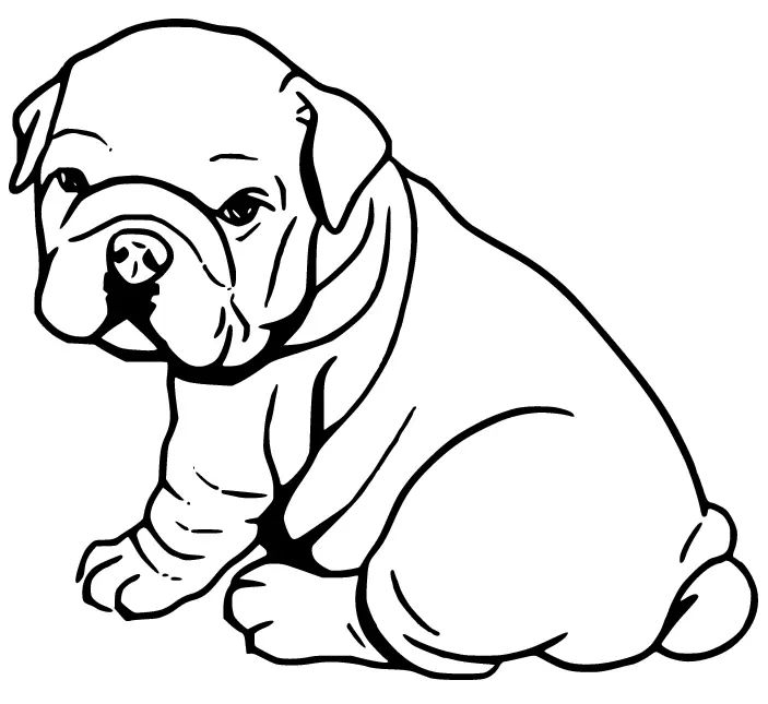 Çocuklar İçin Bulldog Boyama Sayfaları 