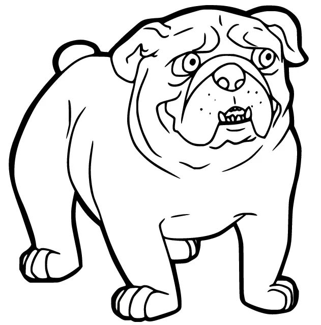 Çocuklar İçin Bulldog Boyama Sayfaları 