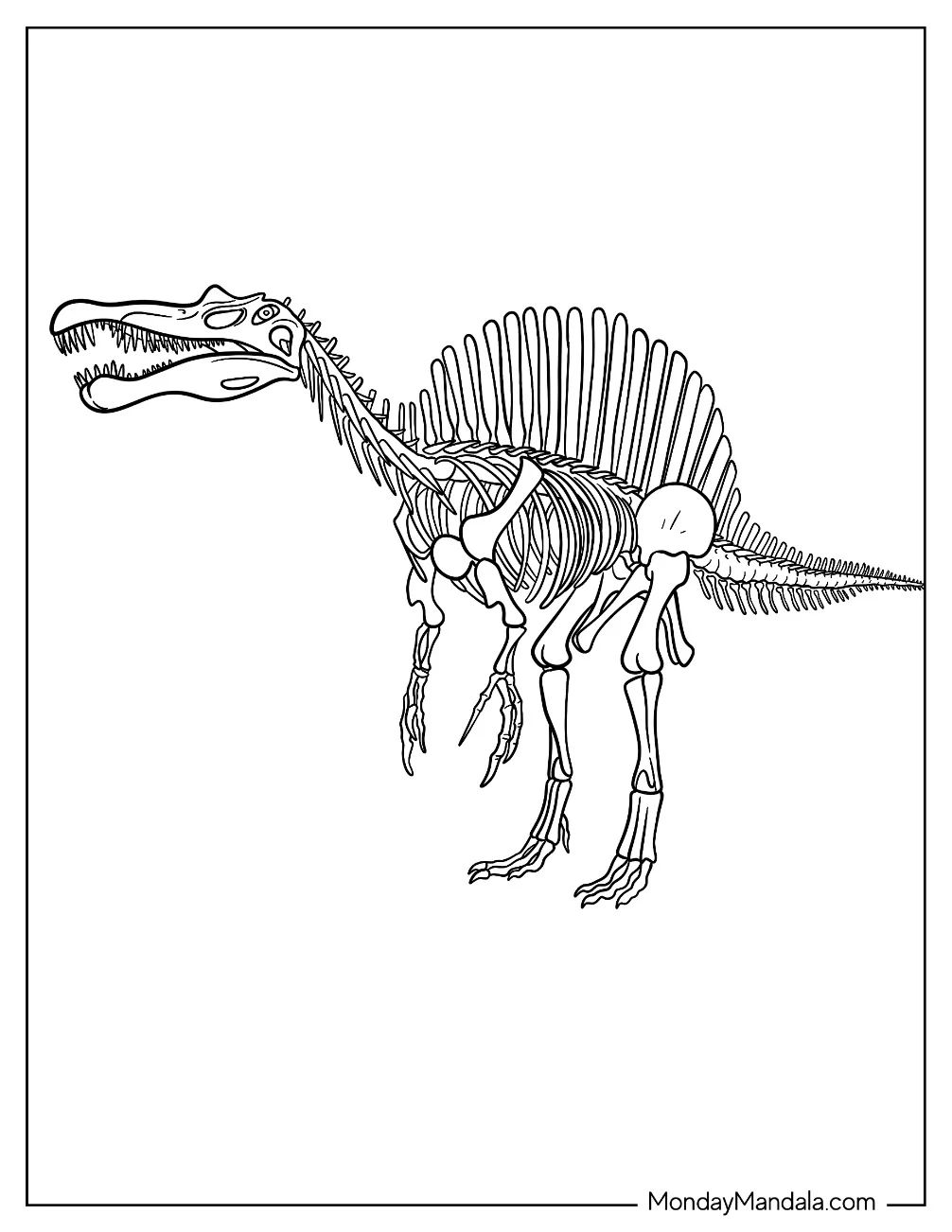 Çocuklar İçin Spinosaurus Boyama Sayfaları 