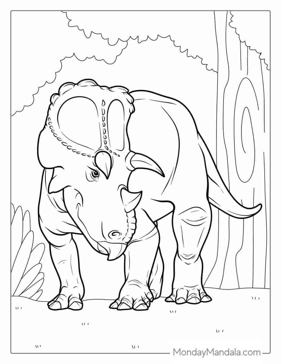 Çocuklar İçin Triceratops Boyama Sayfaları 