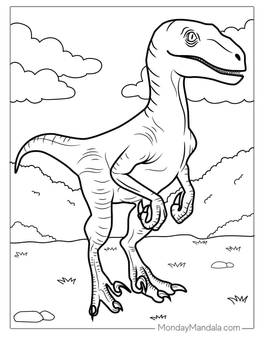 Çocuklar İçin Velociraptor Boyama Sayfaları 