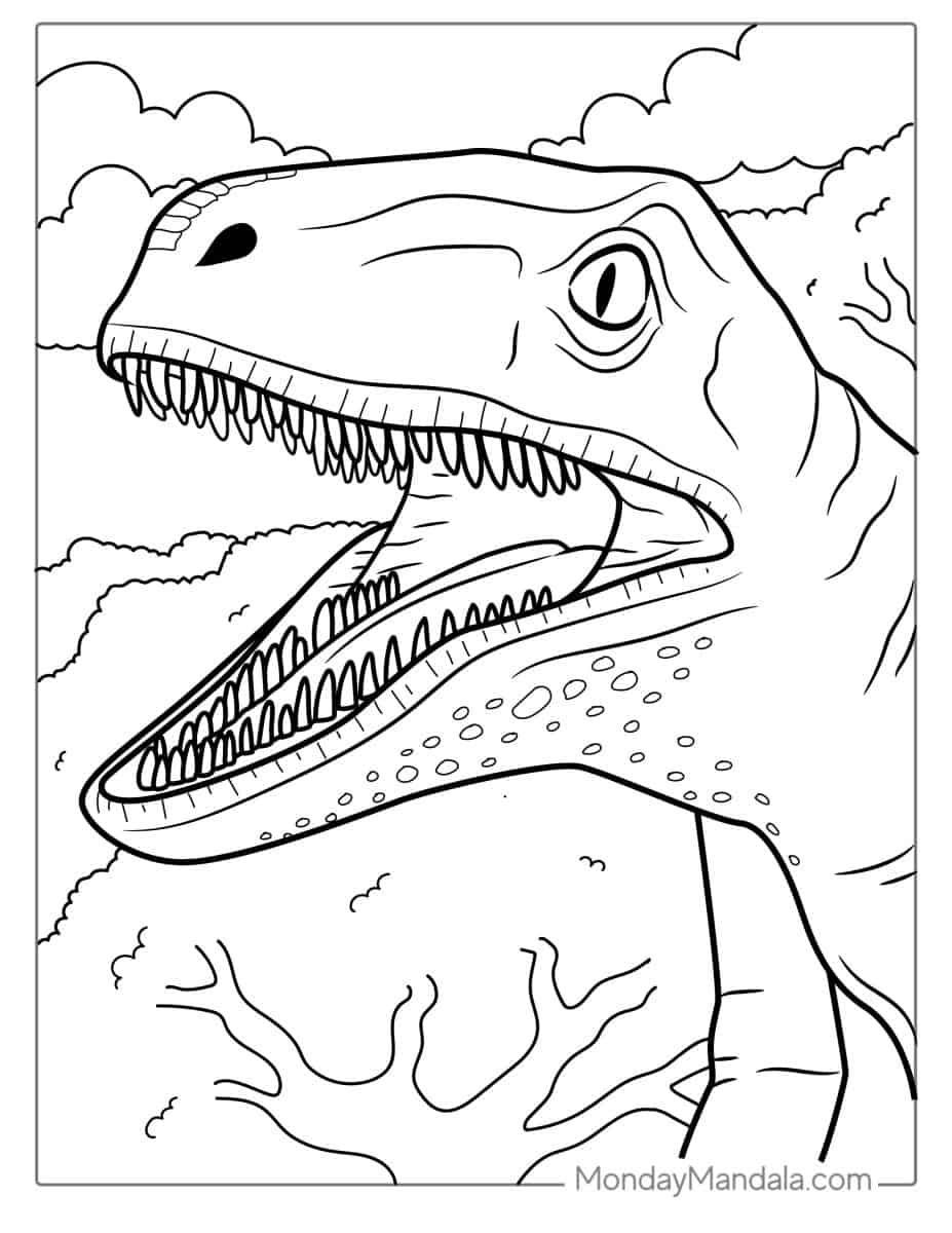 Çocuklar İçin Velociraptor Boyama Sayfaları 