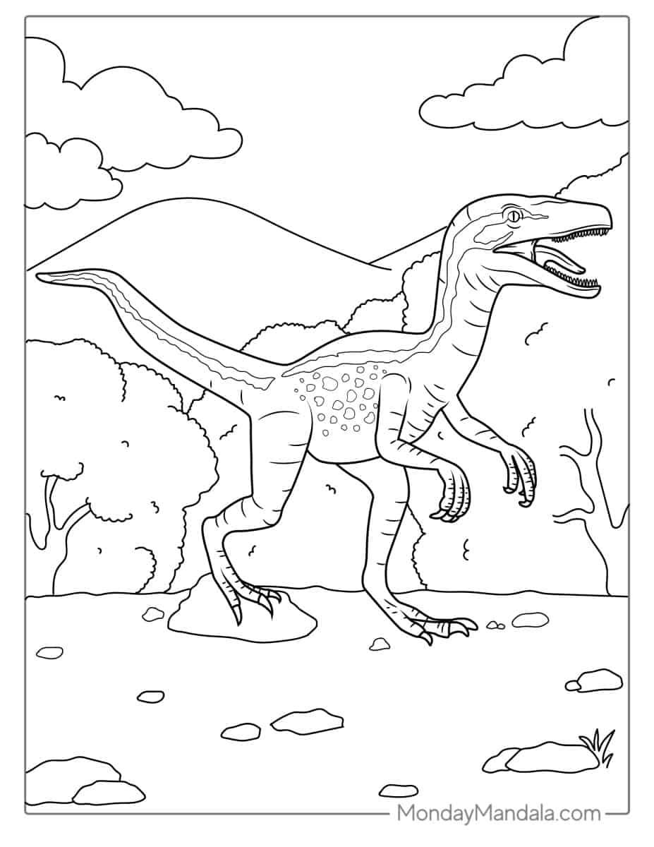 Çocuklar İçin Velociraptor Boyama Sayfaları 