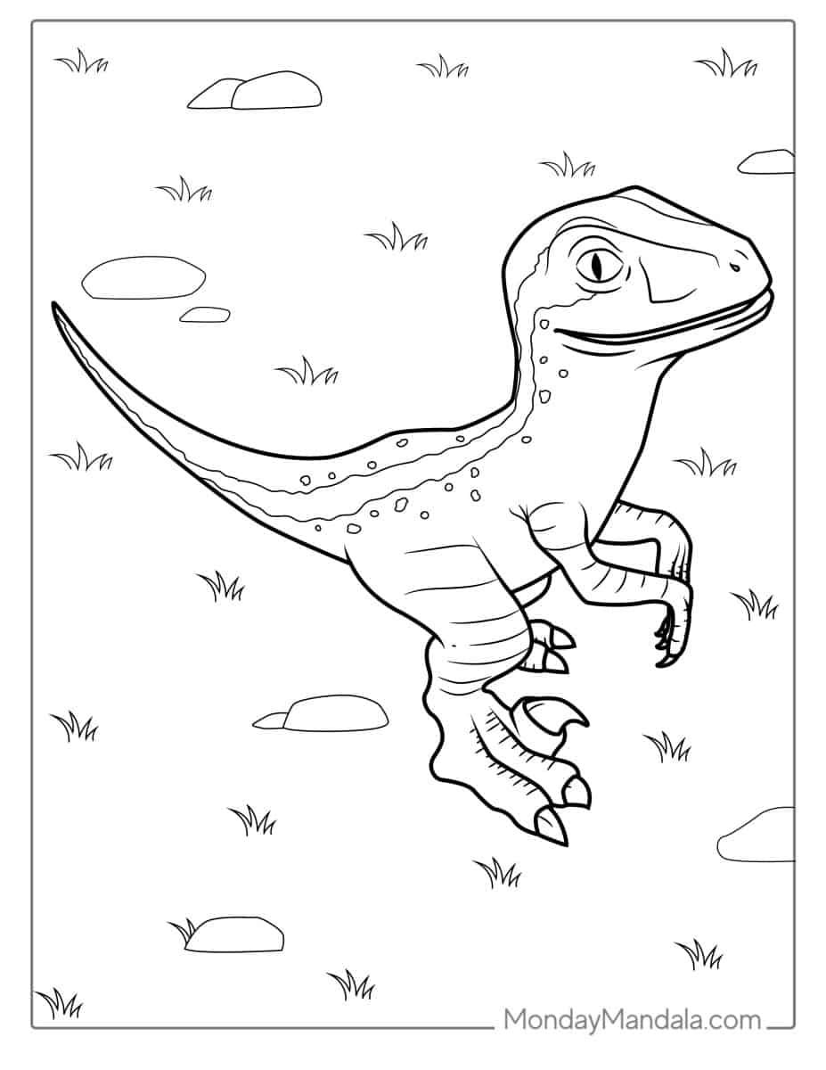 Çocuklar İçin Velociraptor Boyama Sayfaları 