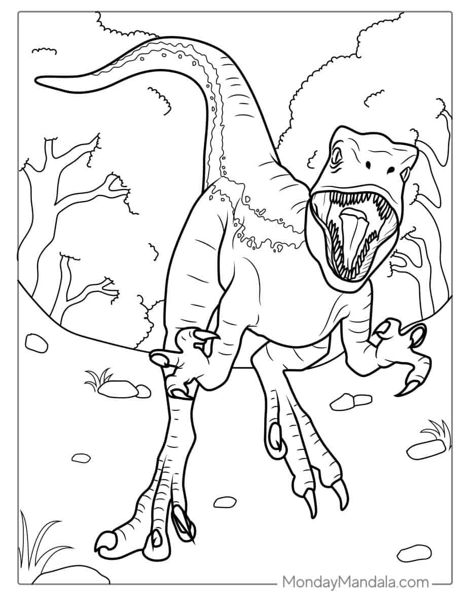 Çocuklar İçin Velociraptor Boyama Sayfaları 