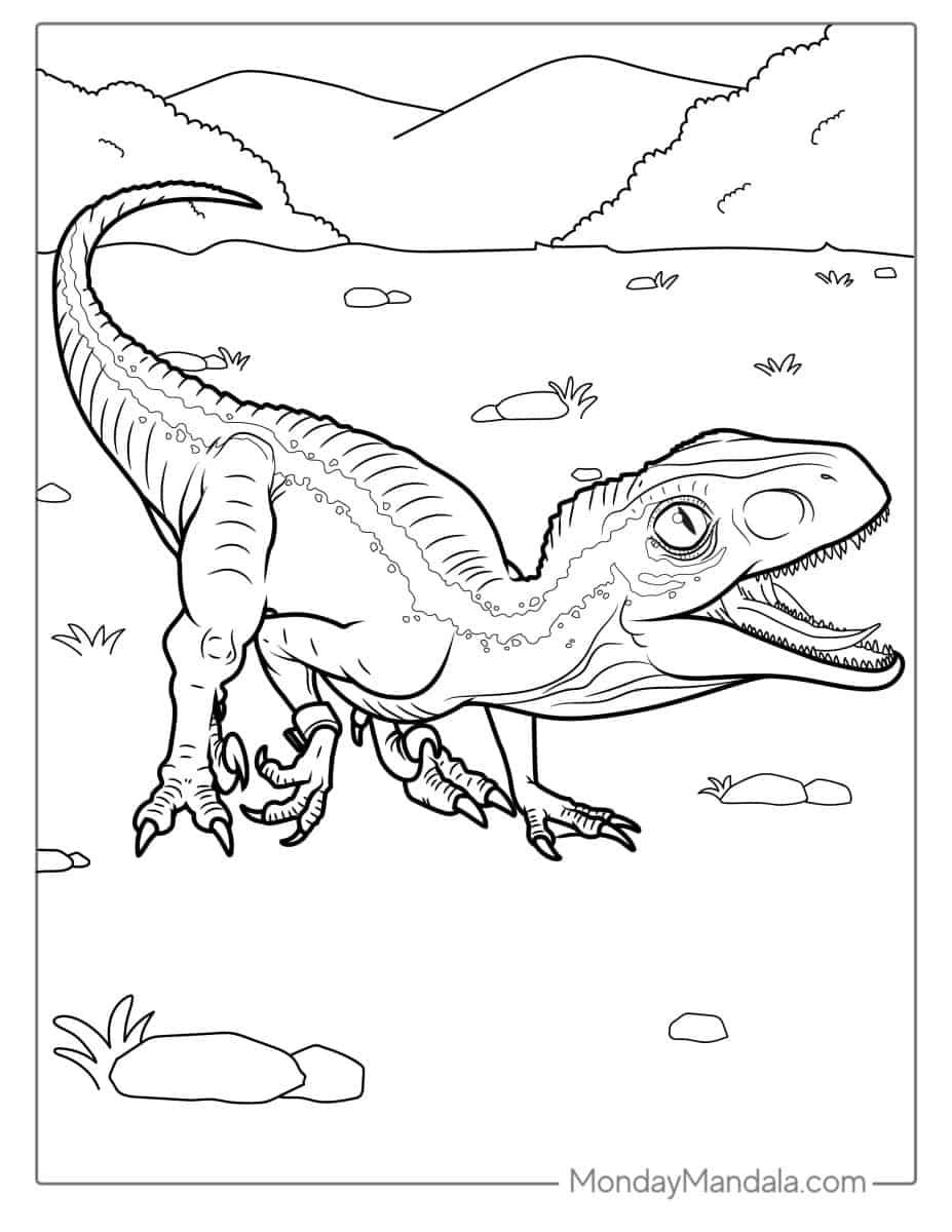 Çocuklar İçin Velociraptor Boyama Sayfaları 