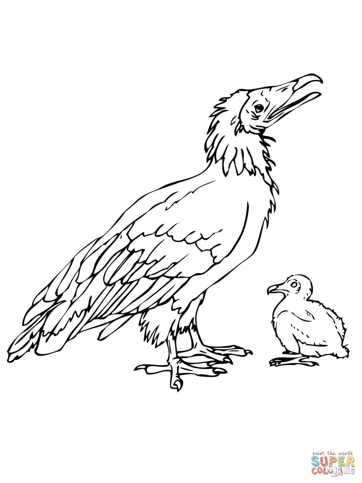 Çocuklar İçin Dodo-Kuşu Boyama Sayfaları 