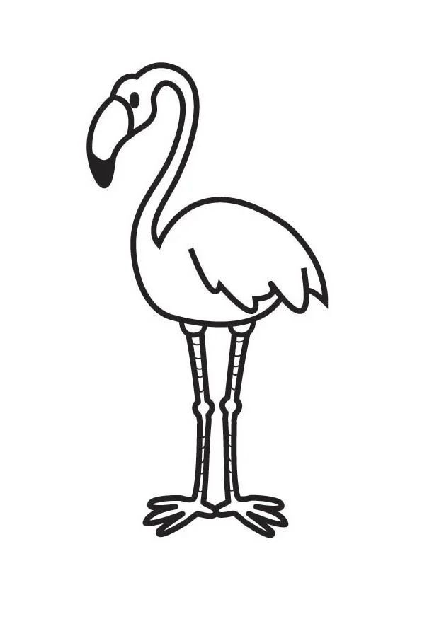 Çocuklar İçin Flamingo Boyama Sayfaları 