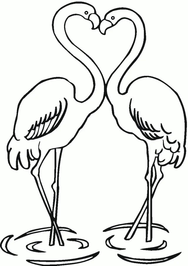 Çocuklar İçin Flamingo Boyama Sayfaları 