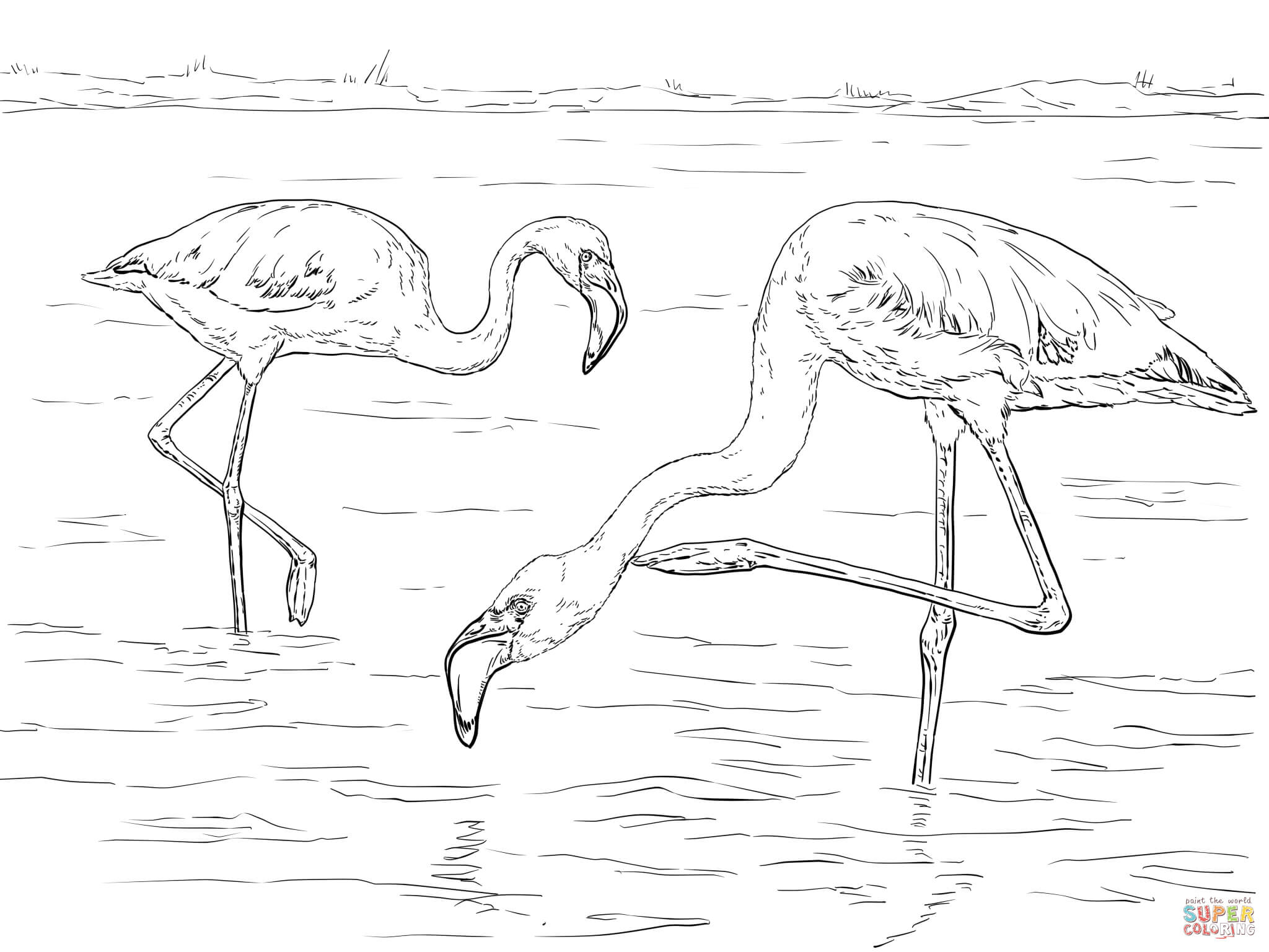 Çocuklar İçin Flamingo Boyama Sayfaları 