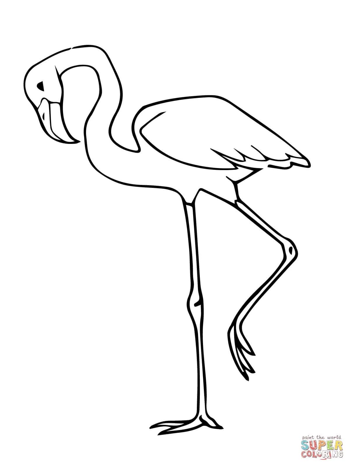 Çocuklar İçin Flamingo Boyama Sayfaları 