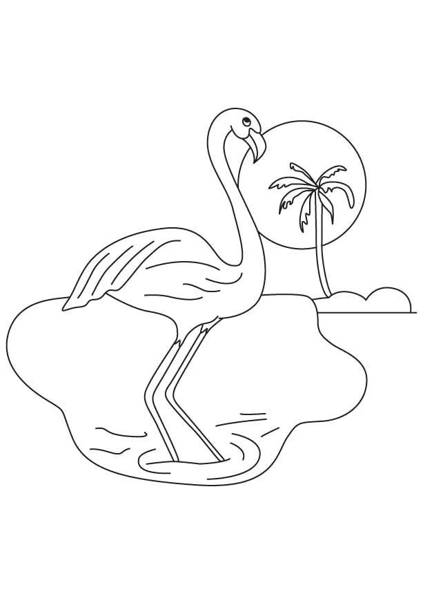 Çocuklar İçin Flamingo Boyama Sayfaları 
