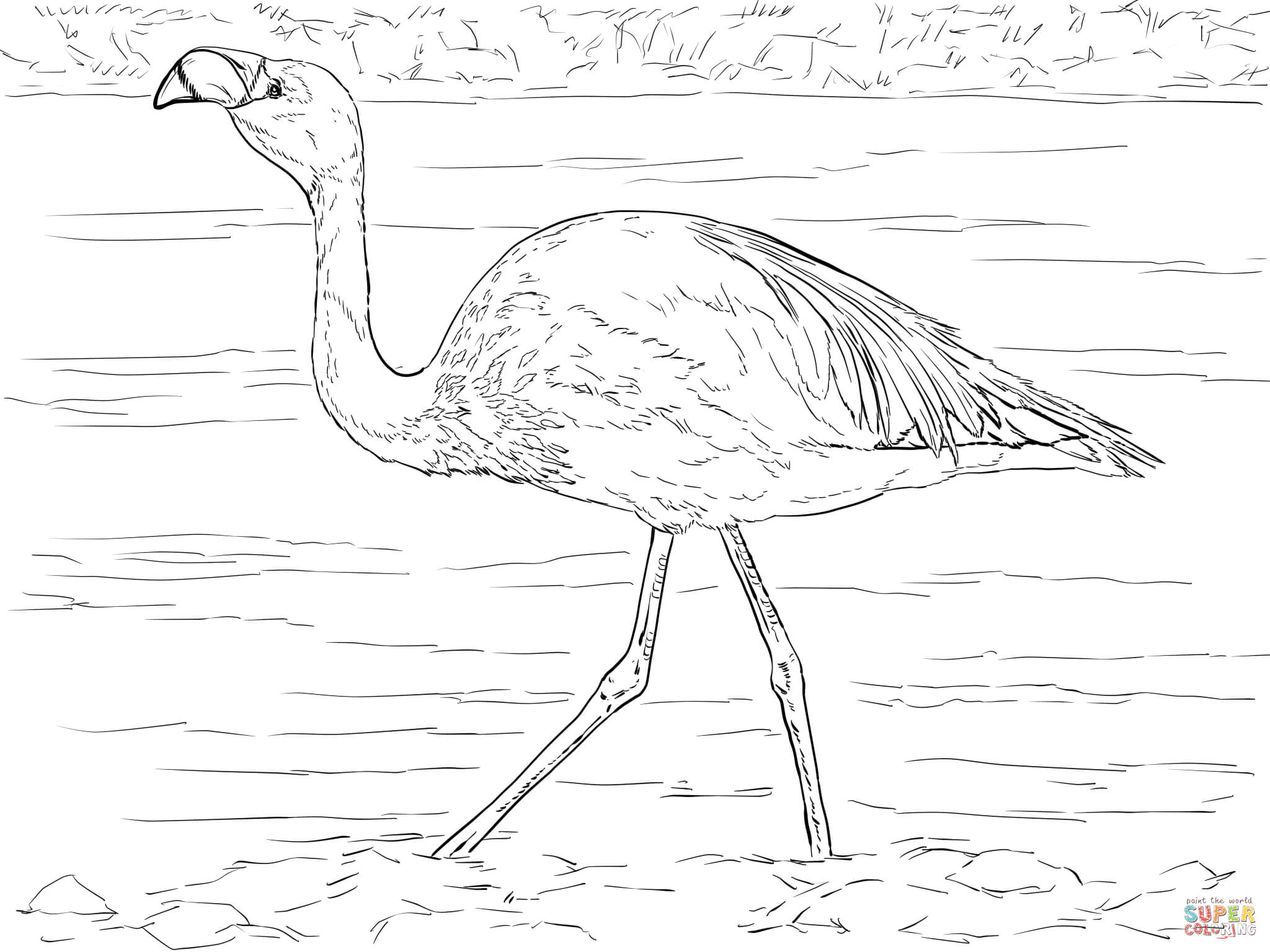 Çocuklar İçin Flamingo Boyama Sayfaları 