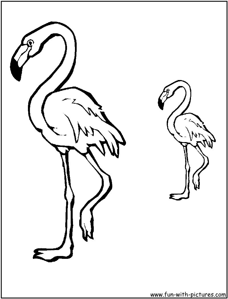 Çocuklar İçin Flamingo Boyama Sayfaları 
