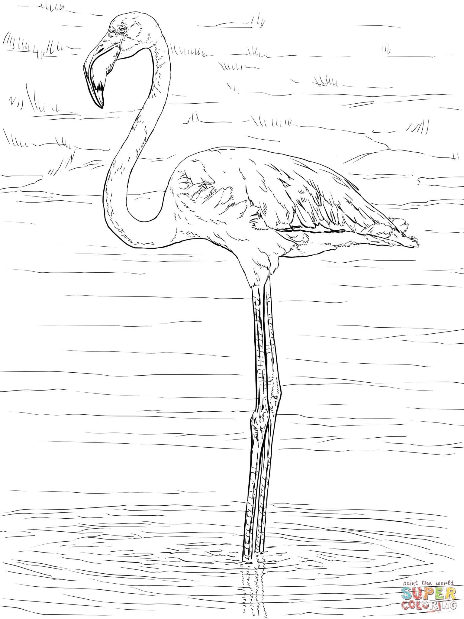 Çocuklar İçin Flamingo Boyama Sayfaları 