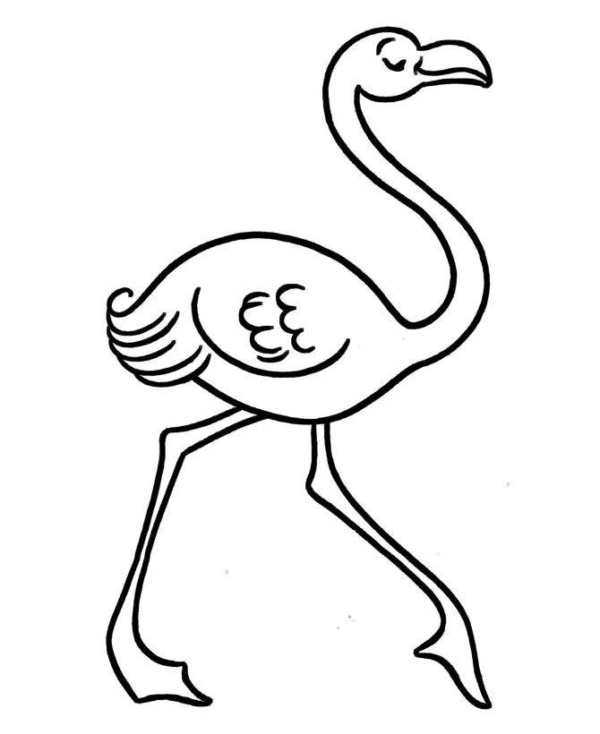 Çocuklar İçin Flamingo Boyama Sayfaları 