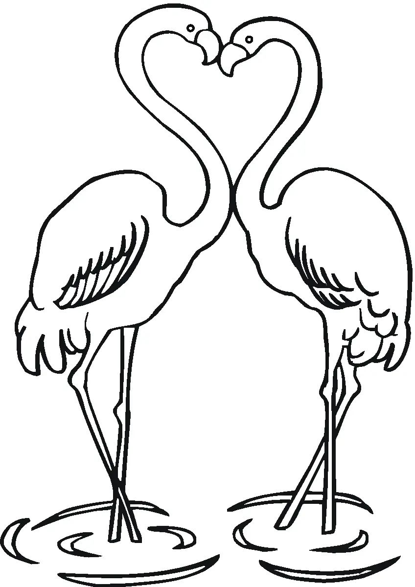 Çocuklar İçin Flamingo Boyama Sayfaları 