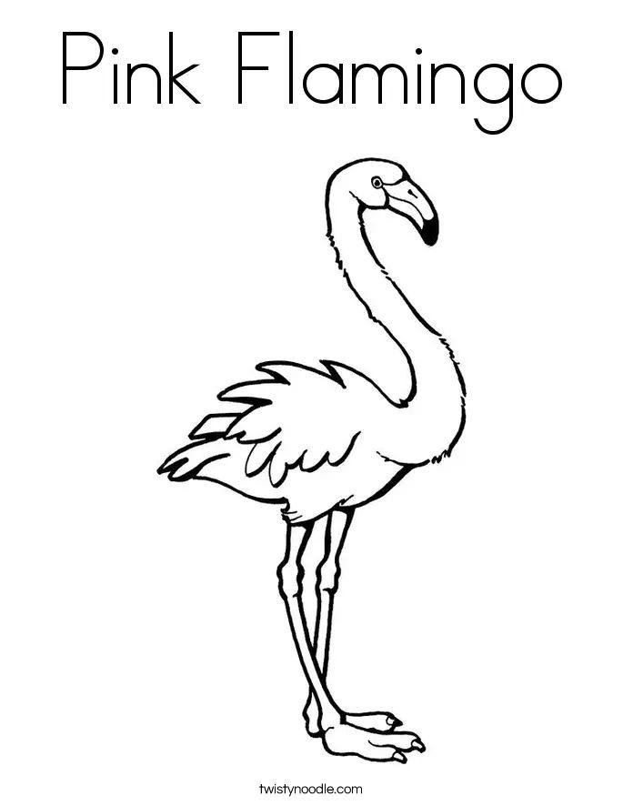 Çocuklar İçin Flamingo Boyama Sayfaları 
