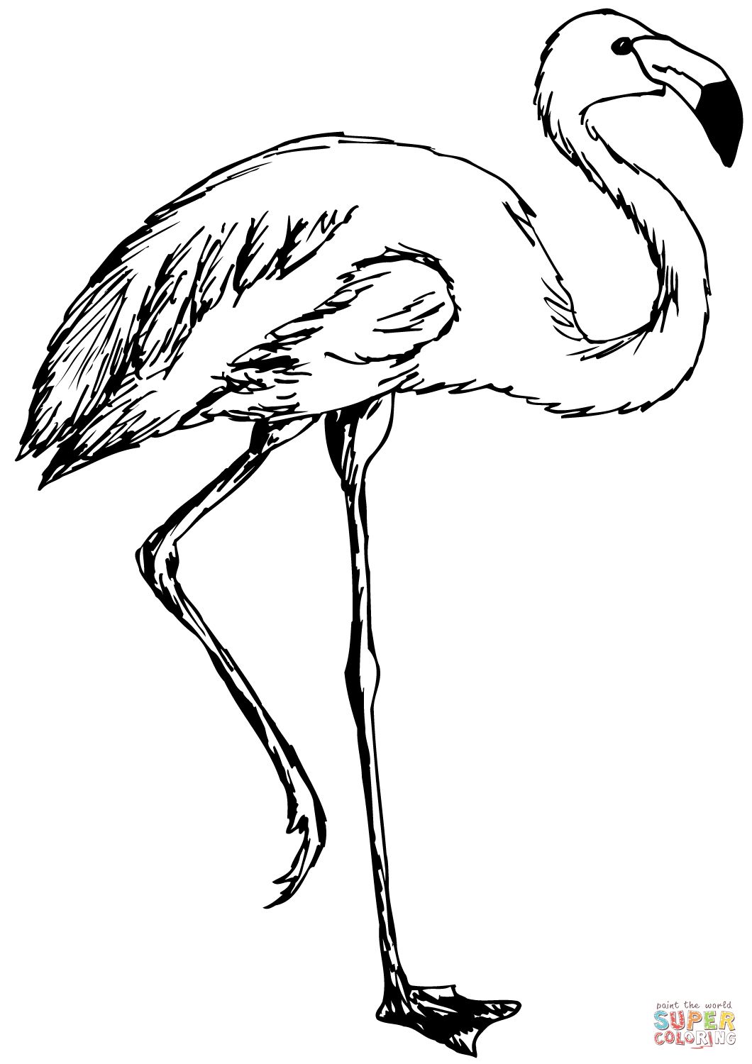 Çocuklar İçin Flamingo Boyama Sayfaları 