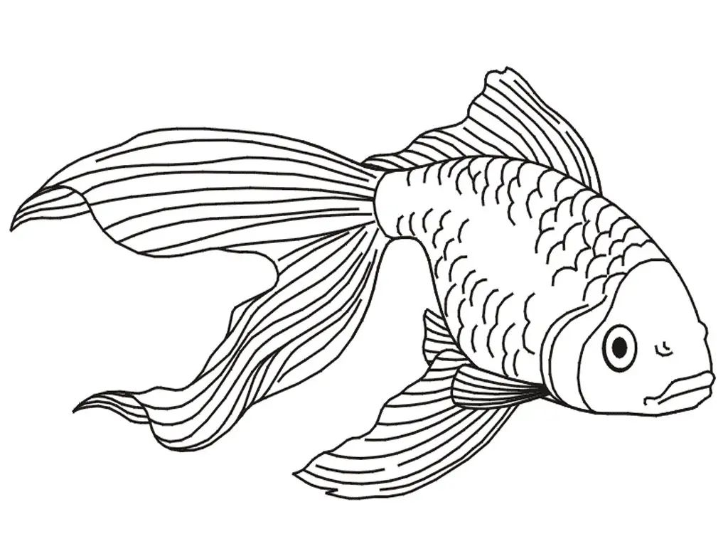 Çocuklar İçin Goldfish Boyama Sayfaları 