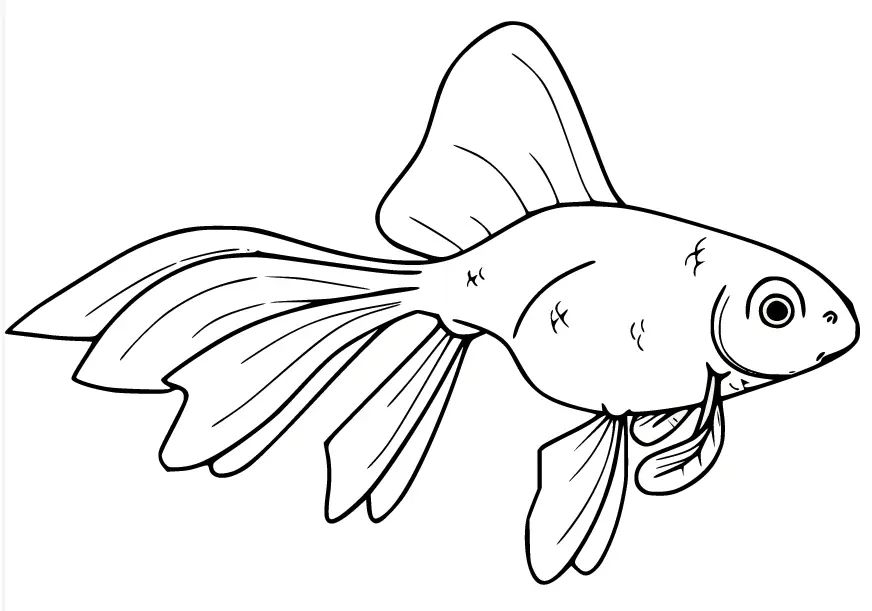 Çocuklar İçin Goldfish Boyama Sayfaları 