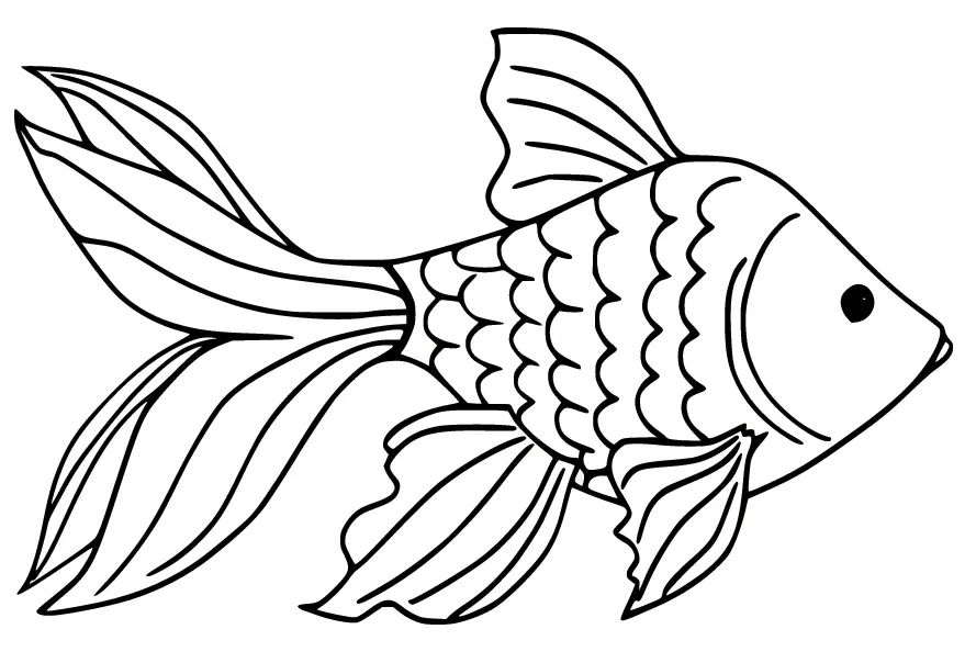Çocuklar İçin Goldfish Boyama Sayfaları 