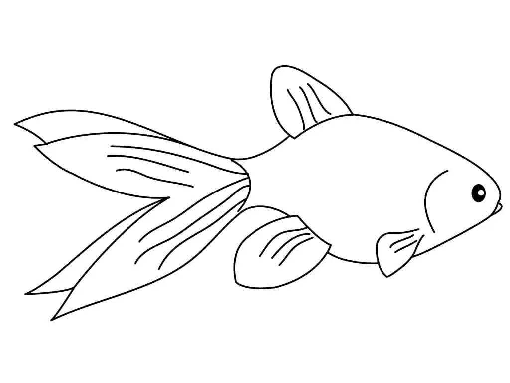 Çocuklar İçin Goldfish Boyama Sayfaları 