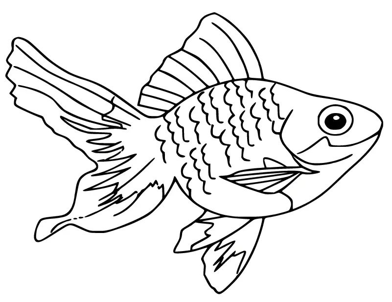 Çocuklar İçin Goldfish Boyama Sayfaları 