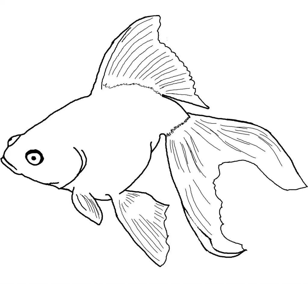 Çocuklar İçin Goldfish Boyama Sayfaları 