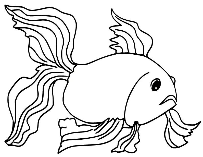 Çocuklar İçin Goldfish Boyama Sayfaları 