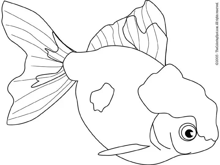 Çocuklar İçin Goldfish Boyama Sayfaları 