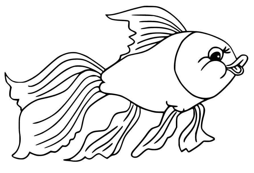 Çocuklar İçin Goldfish Boyama Sayfaları 