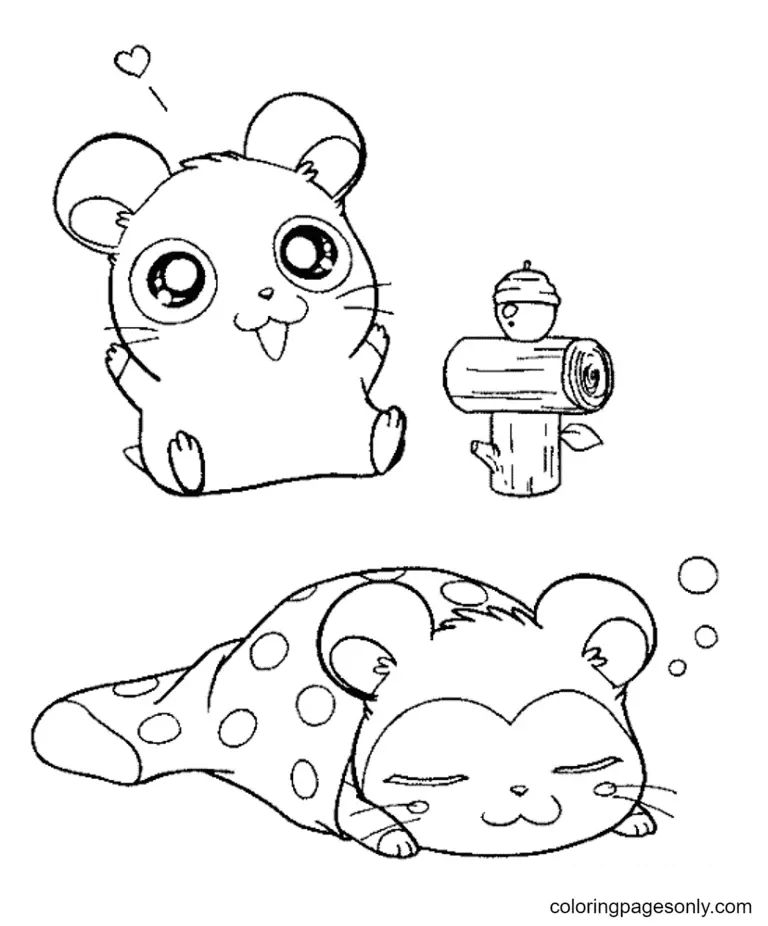 Çocuklar İçin Hamster Boyama Sayfaları 