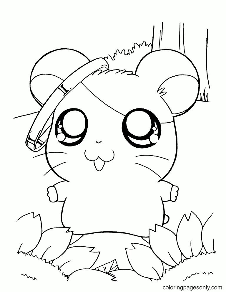 Çocuklar İçin Hamster Boyama Sayfaları 
