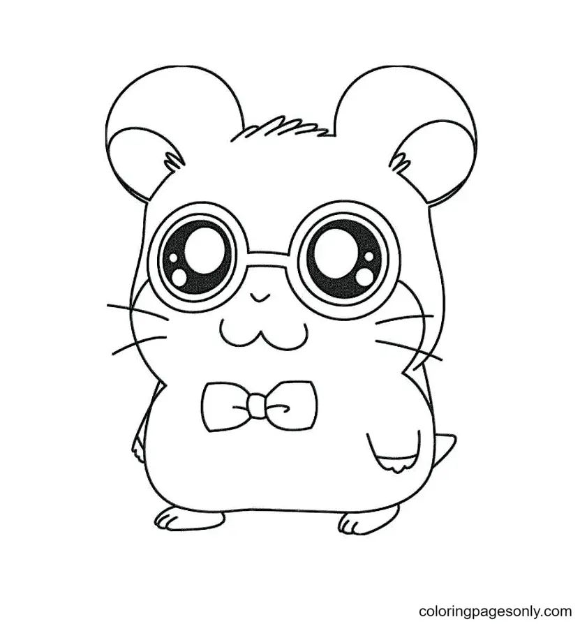 Çocuklar İçin Hamster Boyama Sayfaları 
