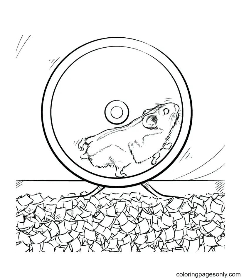 Çocuklar İçin Hamster Boyama Sayfaları 