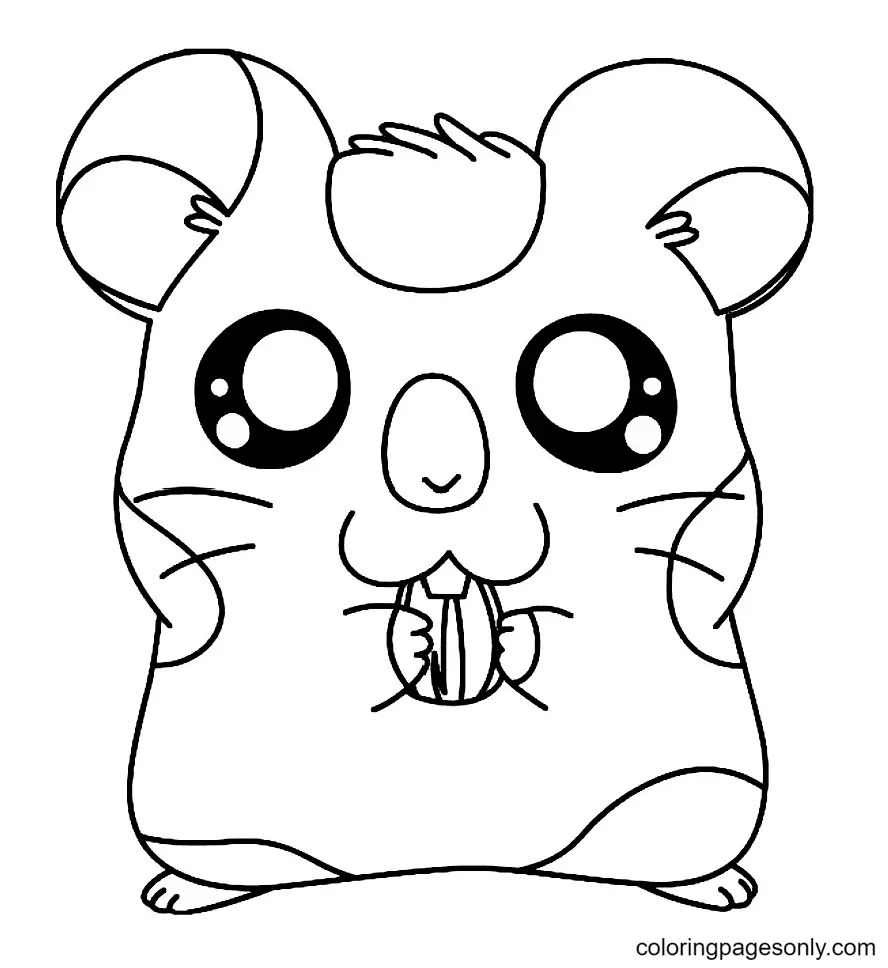 Çocuklar İçin Hamster Boyama Sayfaları 