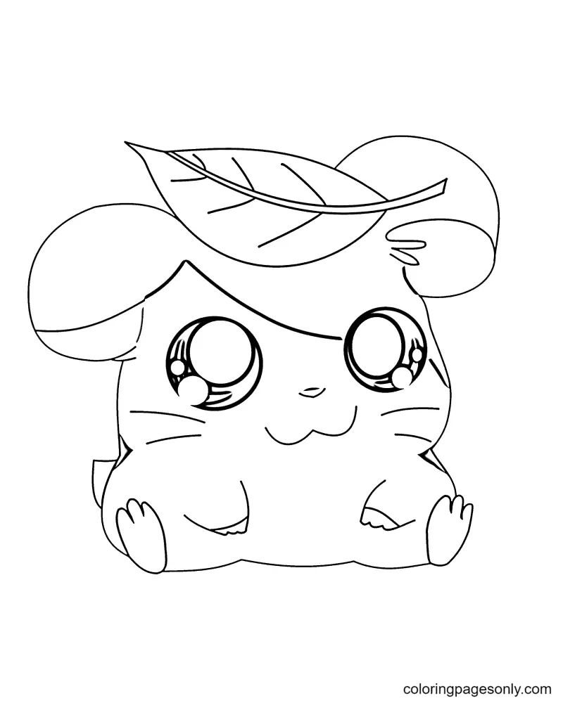 Çocuklar İçin Hamster Boyama Sayfaları 