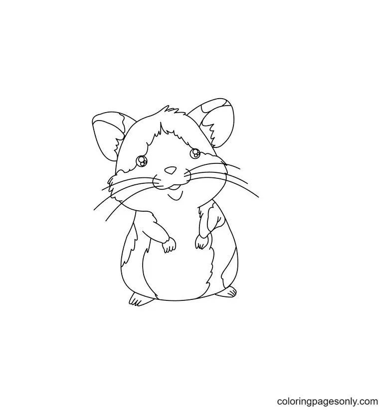 Çocuklar İçin Hamster Boyama Sayfaları 