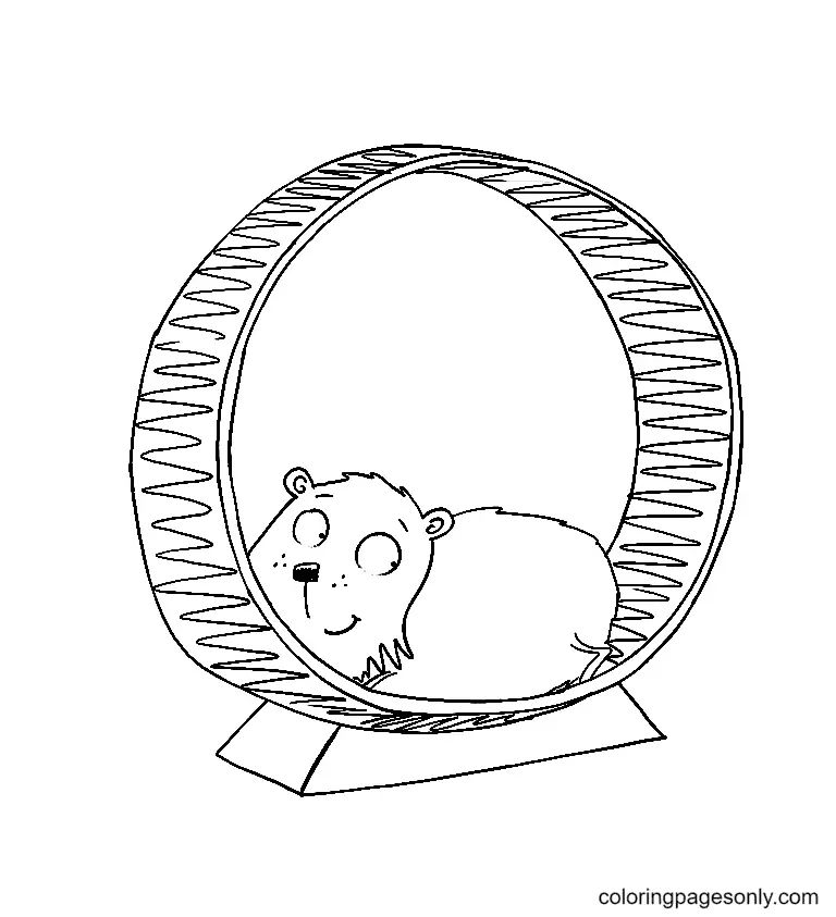 Çocuklar İçin Hamster Boyama Sayfaları 