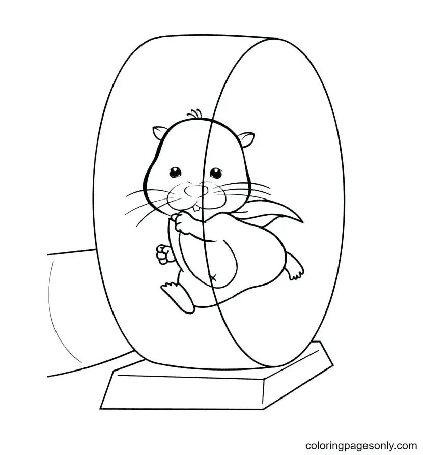 Çocuklar İçin Hamster Boyama Sayfaları 