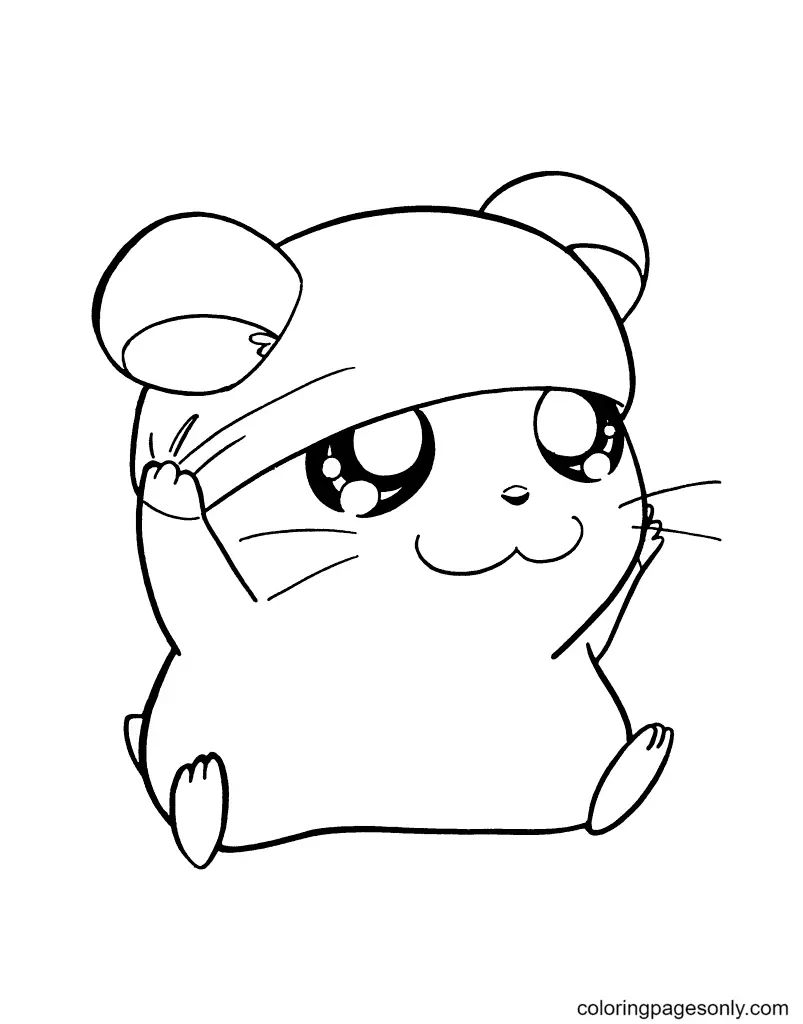 Çocuklar İçin Hamster Boyama Sayfaları 