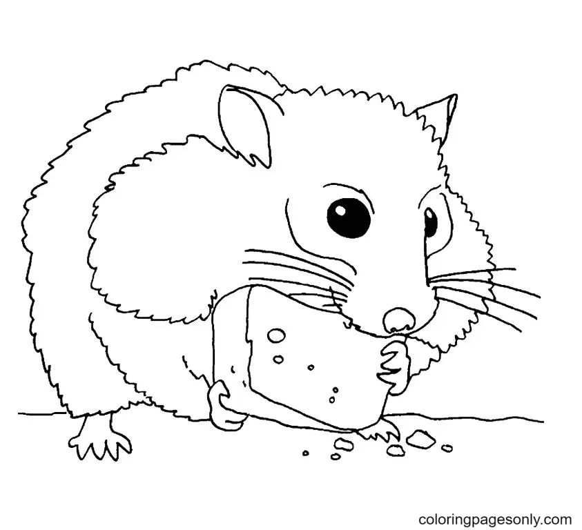 Çocuklar İçin Hamster Boyama Sayfaları 