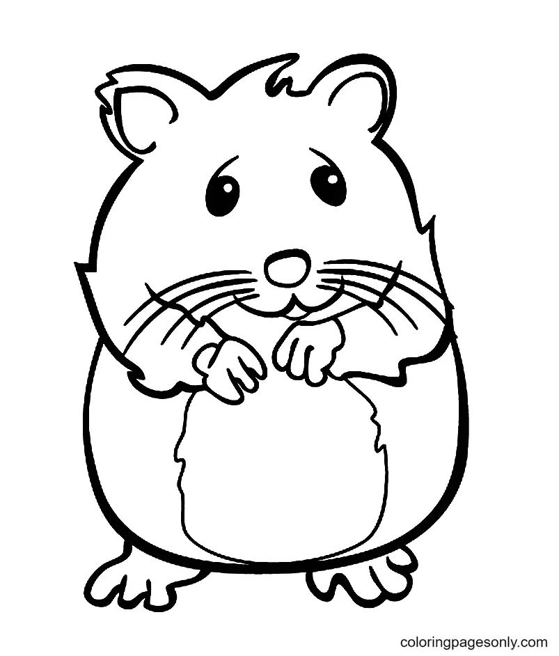 Çocuklar İçin Hamster Boyama Sayfaları 