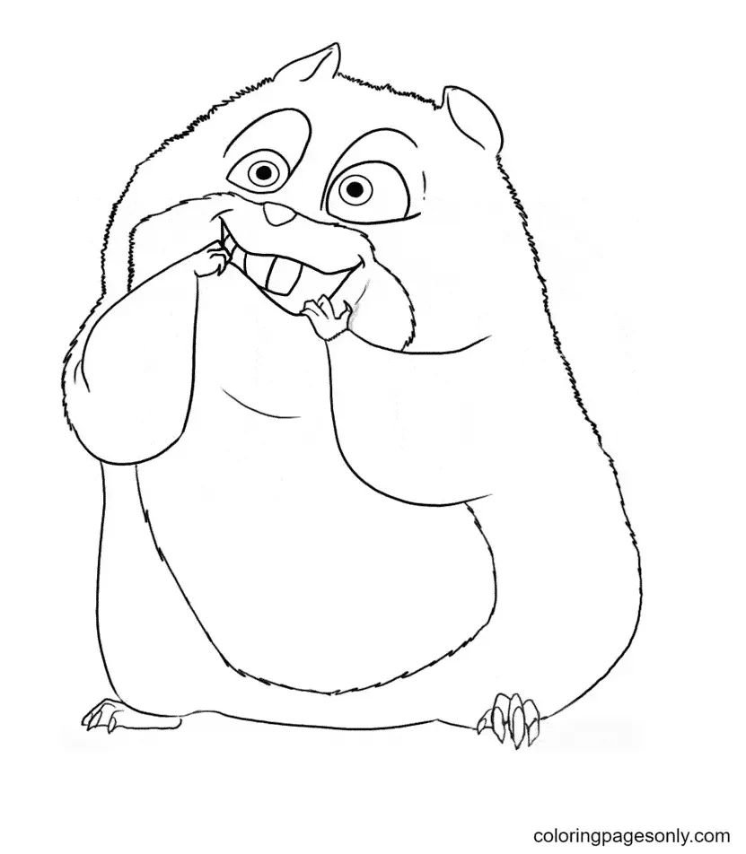Çocuklar İçin Hamster Boyama Sayfaları 